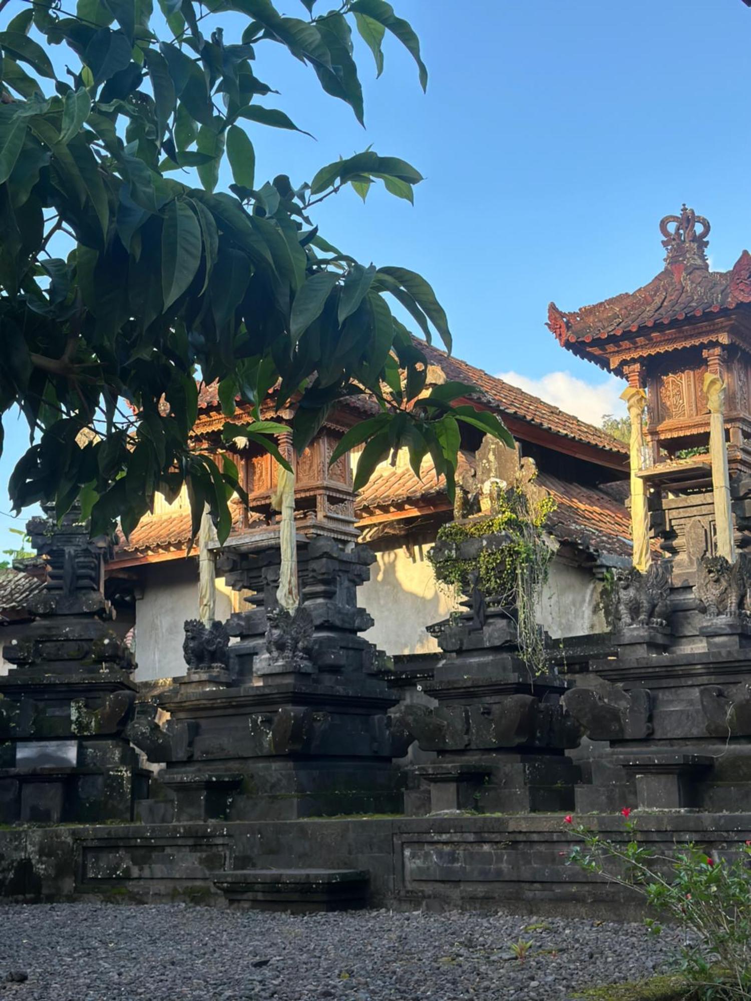 Made Putu Homestay Sidemen  Ngoại thất bức ảnh