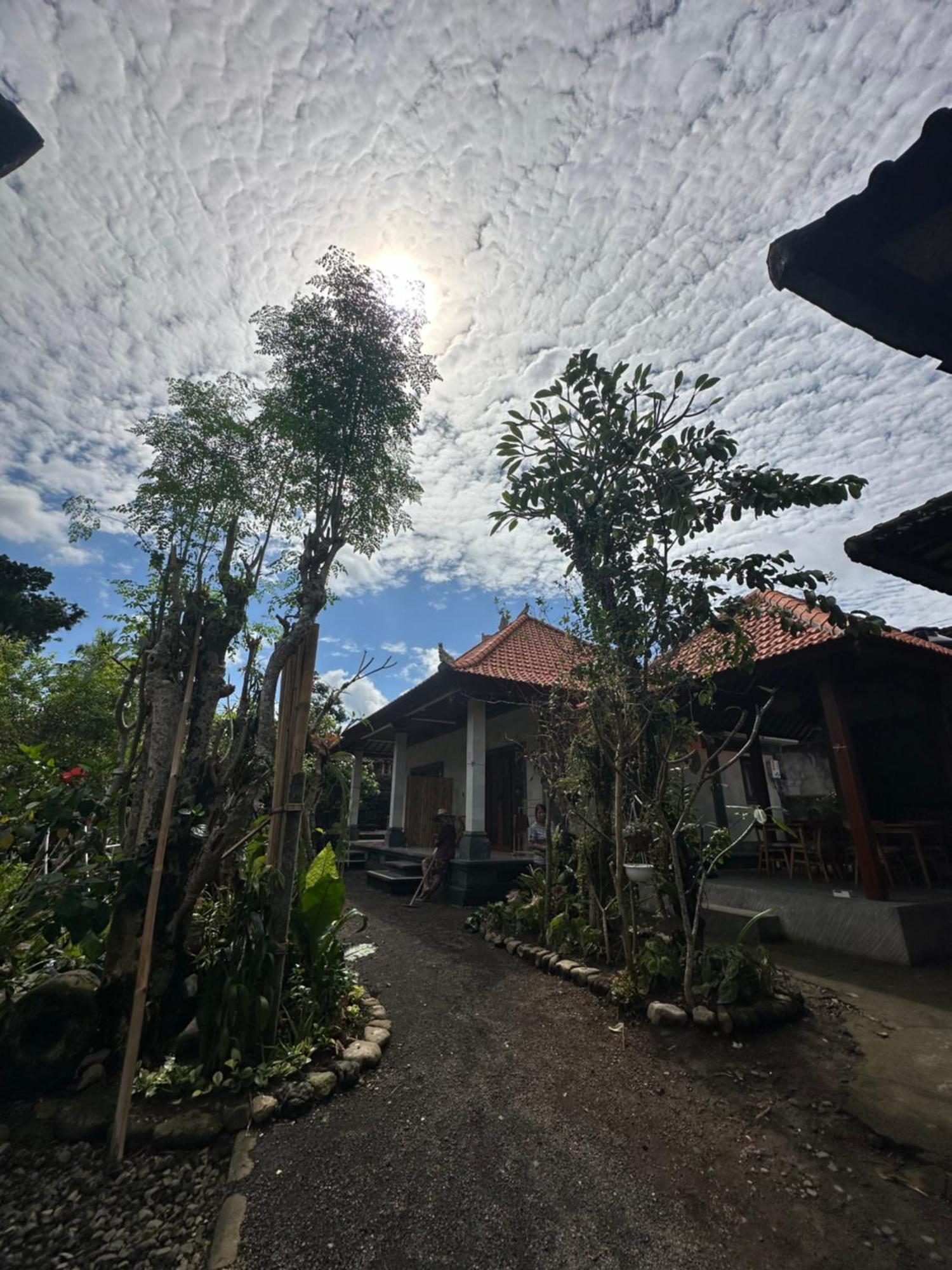 Made Putu Homestay Sidemen  Ngoại thất bức ảnh
